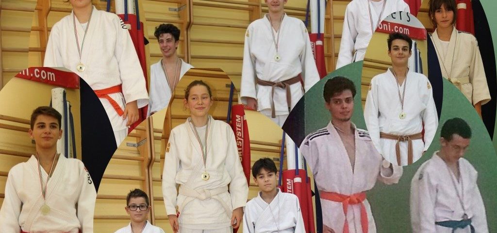 Campionato Regionale 2015 Judo